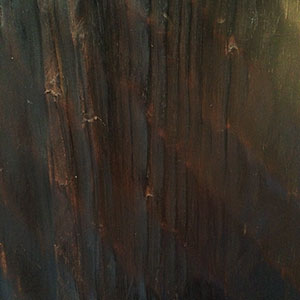 wood_sample_mountain_pine_burnt.jpg
